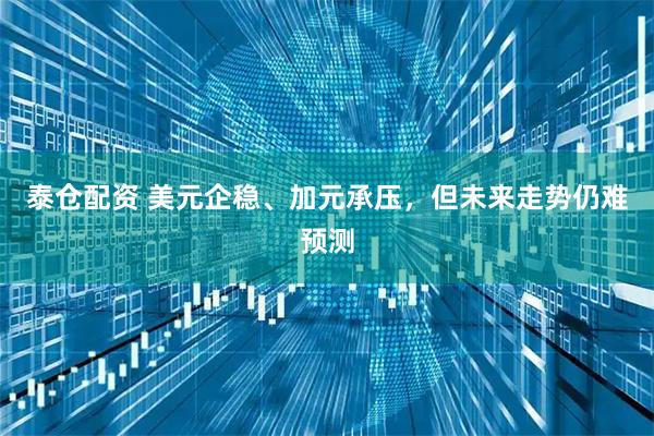 泰仓配资 美元企稳、加元承压，但未来走势仍难预测