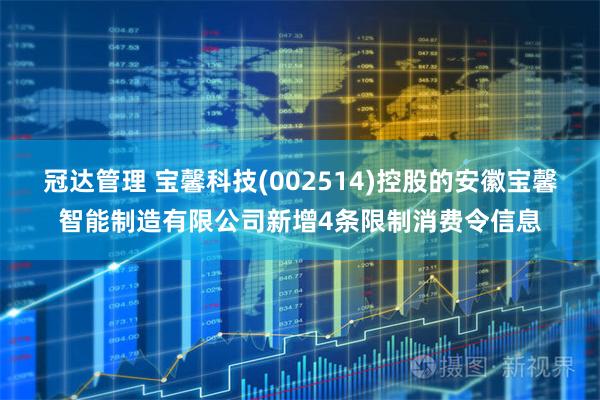 冠达管理 宝馨科技(002514)控股的安徽宝馨智能制造有限公司新增4条限制消费令信息