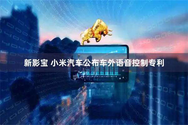 新影宝 小米汽车公布车外语音控制专利