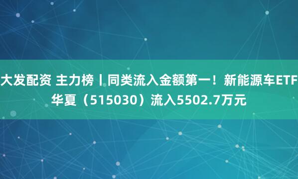 大发配资 主力榜丨同类流入金额第一！新能源车ETF华夏（515030）流入5502.7万元